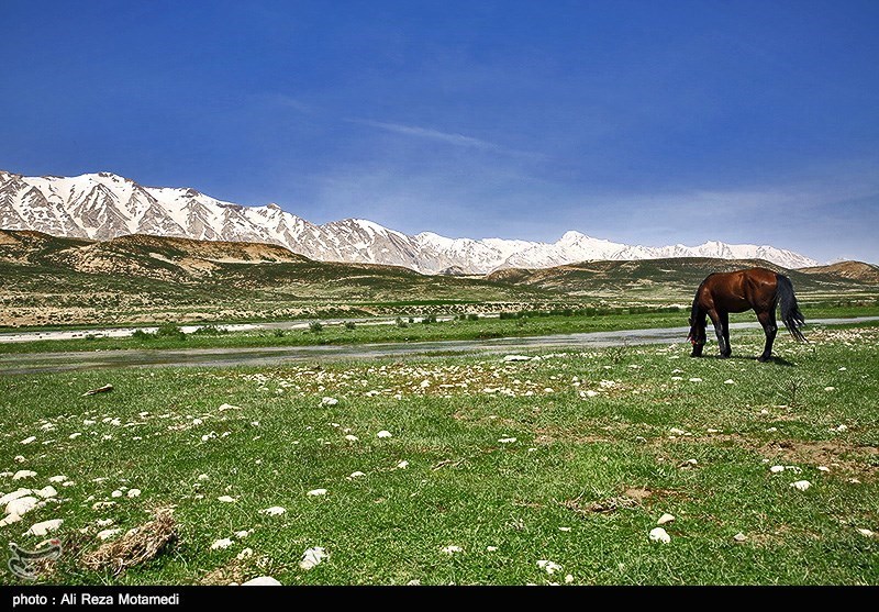 طبیعت بهاری - چهارمحال و بختیاری