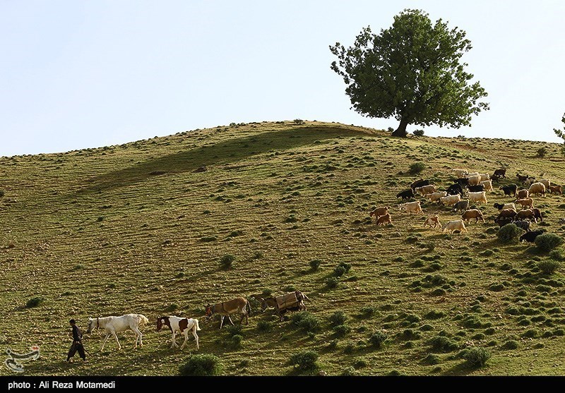 طبیعت چهارمحال و بختیاری