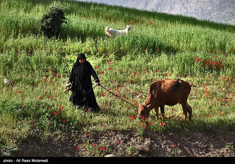 طبیعت چهارمحال و بختیاری