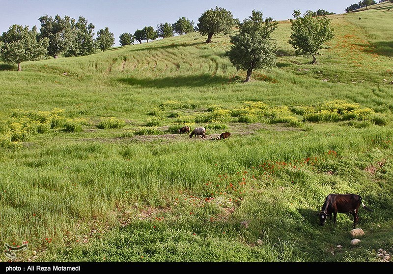 طبیعت چهارمحال و بختیاری