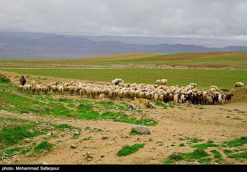 طبیعت بهاری خراسان شمالی