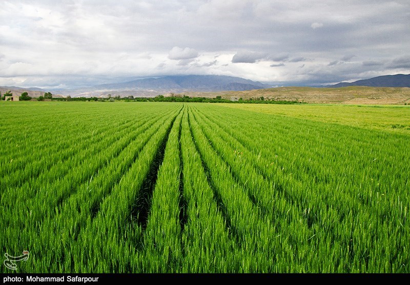 طبیعت بهاری خراسان شمالی