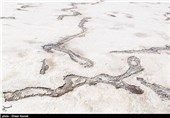 این منطقه از کویر یکی از پستترین مناطق کویر سیرجان از لحاظ ارتفاع است که به دلیل عدم بارندگی طی سالهای اخیر این منطقه به نمکزاری تبدیل شد که فاقد هر گونه حیات است.