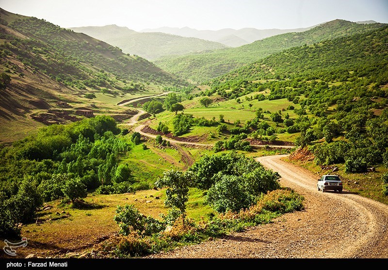 معلم فداکار - کرمانشاه