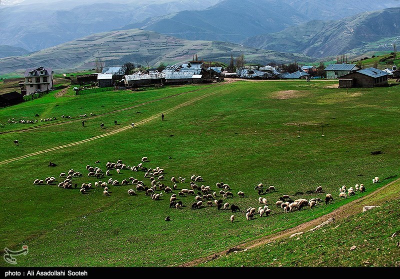 طبیعت  بهاری گیلان