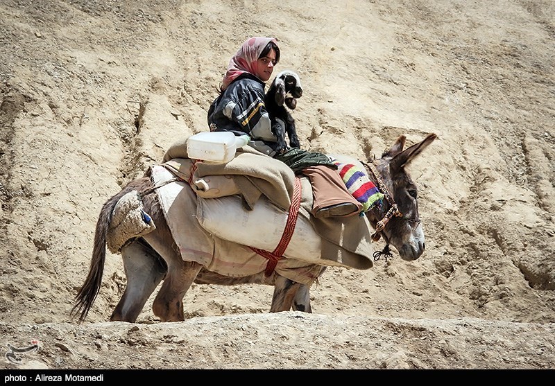 کوچ عشایر چهارمحال و بختیاری