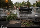 Tehran Gets Hit with Summer Storm