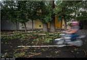 Tehran Gets Hit with Summer Storm