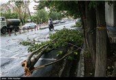 Tehran Gets Hit with Summer Storm