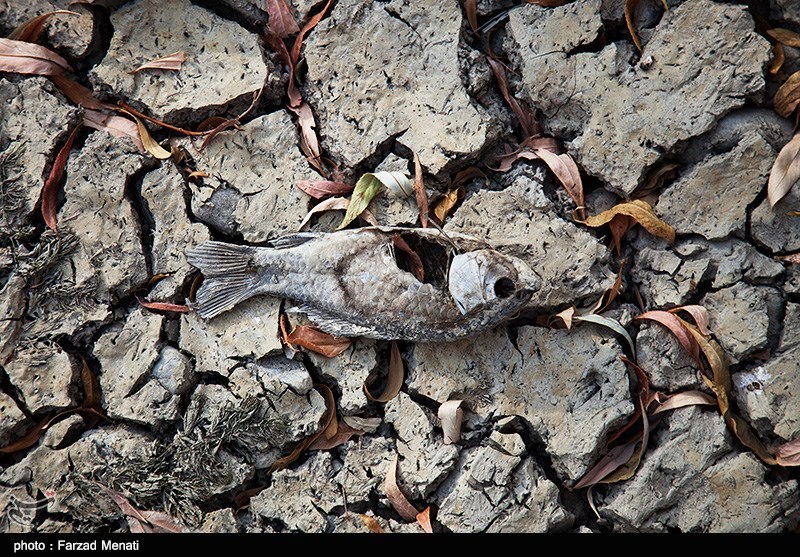 جنوب و غرب استان لرستان با مشکل تأمین آب مواجه است