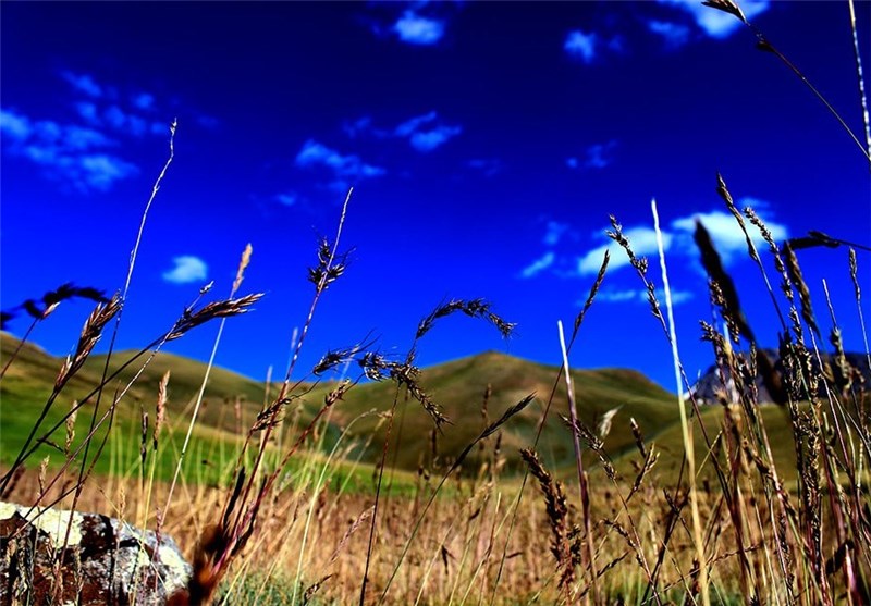 آلوارس/اردبیل