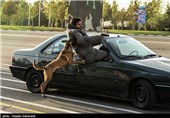 Iran’s Counter-Terror Special Force Training in Tehran