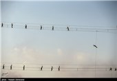 Iran’s Counter-Terror Special Force Training in Tehran