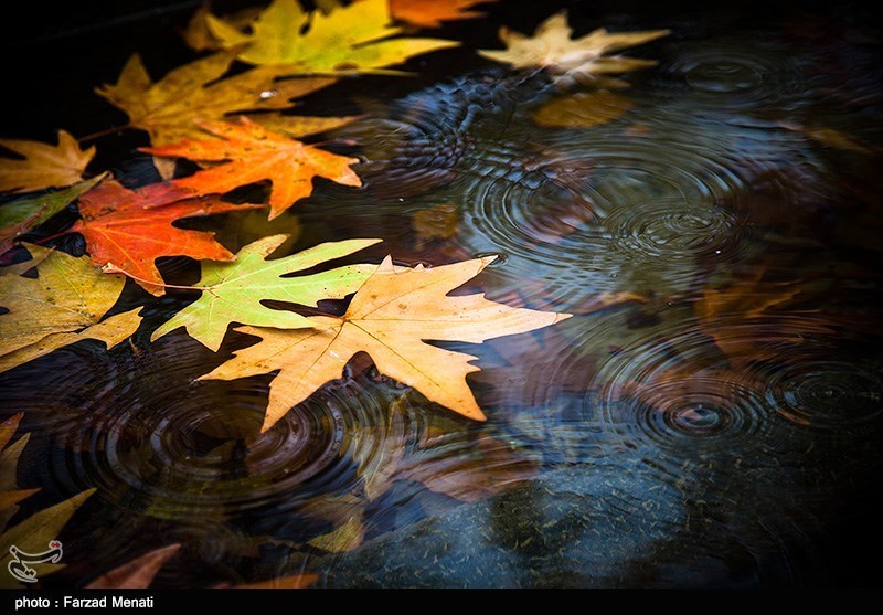 پائیز در کرمانشاه