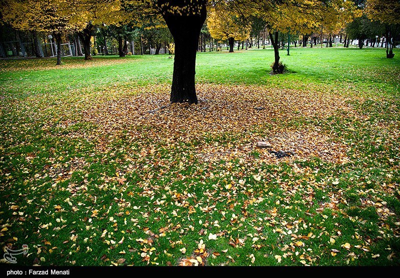 پائیز در کرمانشاه