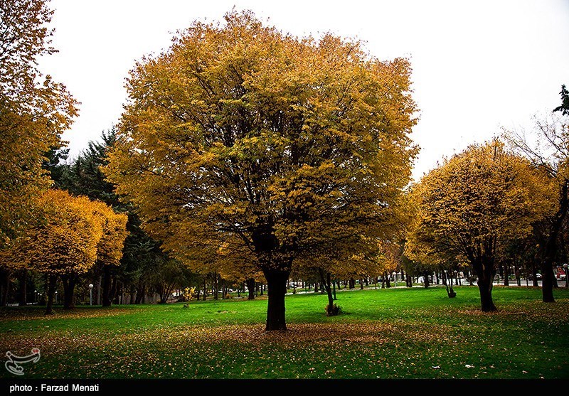 پائیز در کرمانشاه