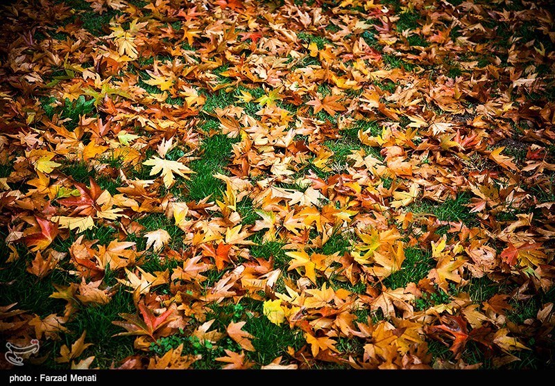 پائیز در کرمانشاه