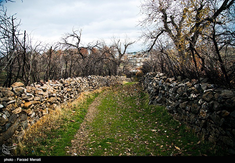 پائیز در کرمانشاه