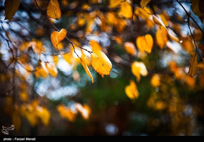 پائیز در کرمانشاه