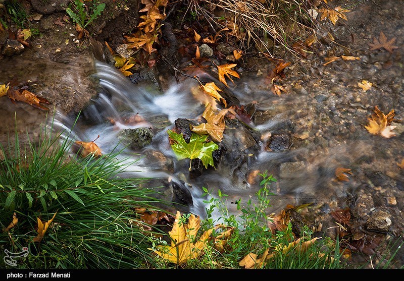 پائیز در کرمانشاه