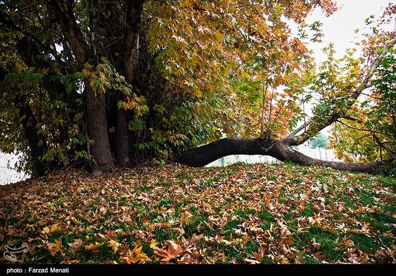 پائیز در کرمانشاه