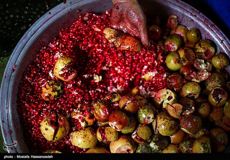 تهیه رب انار در کردکوی - گلستان