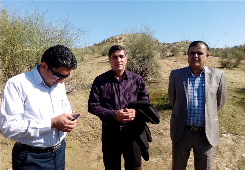 گیاهان دارویی در ایران دو برابر قاره اروپا است