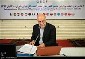 بیژن نامدار زنگنه وزیر نفت در هفدهمین اجلاس فوق‌العاده وزارتی اعضای مجمع کشورهای صادرکننده گاز