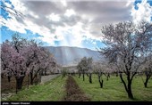 Iran’s Beauties in Photos: Early Spring in Shiraz 