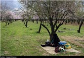 Iran’s Beauties in Photos: Early Spring in Shiraz 