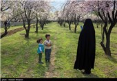 Iran’s Beauties in Photos: Early Spring in Shiraz 