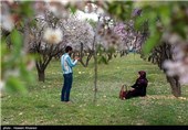 Iran’s Beauties in Photos: Early Spring in Shiraz 