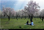 Iran’s Beauties in Photos: Early Spring in Shiraz 