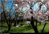 Iran’s Beauties in Photos: Early Spring in Shiraz