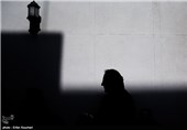 مراسم کاشت نهال توسط سینماگران