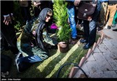 مراسم کاشت نهال توسط سینماگران