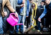 مراسم کاشت نهال توسط سینماگران