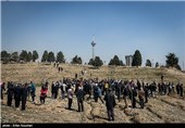 مراسم درختکاری با حضور هنرمندان و کودکان کار