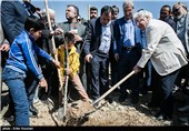 مراسم درختکاری با حضور هنرمندان و کودکان کار