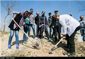 مراسم درختکاری با حضور هنرمندان و کودکان کار