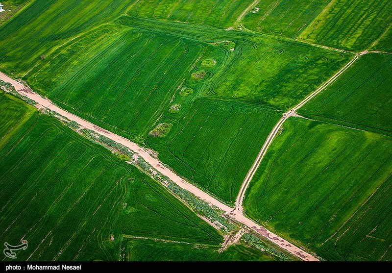طبیعت بهاری گرگان