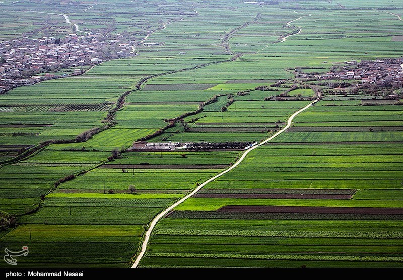 طبیعت بهاری گرگان