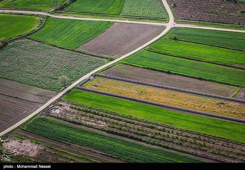طبیعت بهاری گرگان