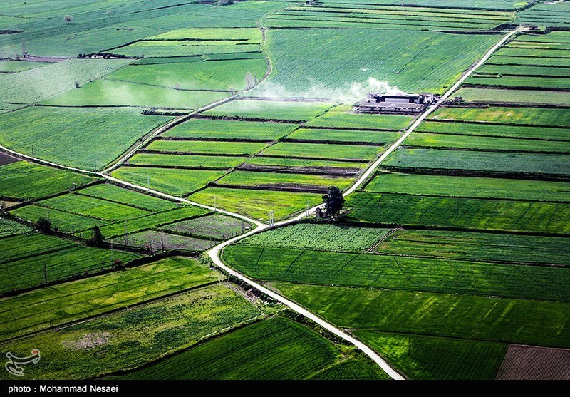 طبیعت بهاری گرگان