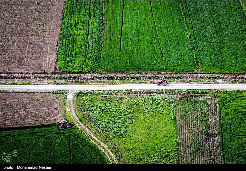 طبیعت بهاری گرگان