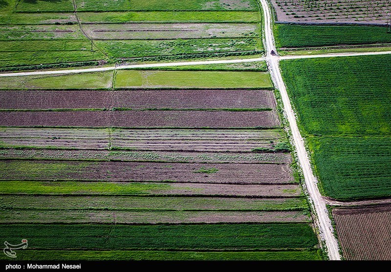 طبیعت بهاری گرگان