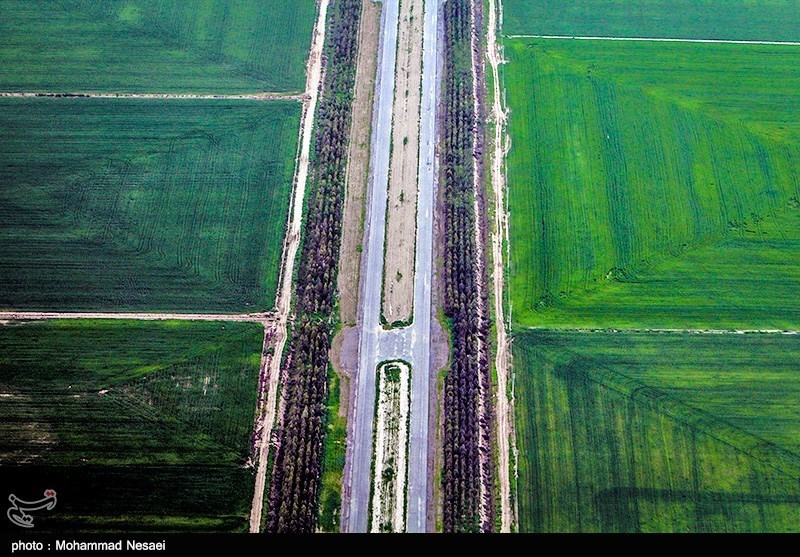 طبیعت بهاری گرگان