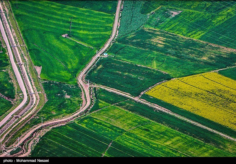 طبیعت بهاری گرگان