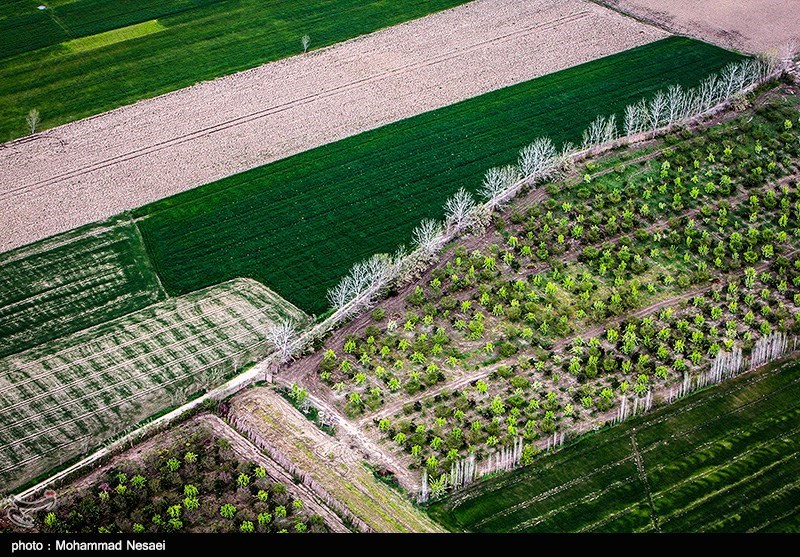 طبیعت بهاری گرگان