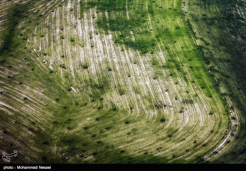 طبیعت بهاری گرگان